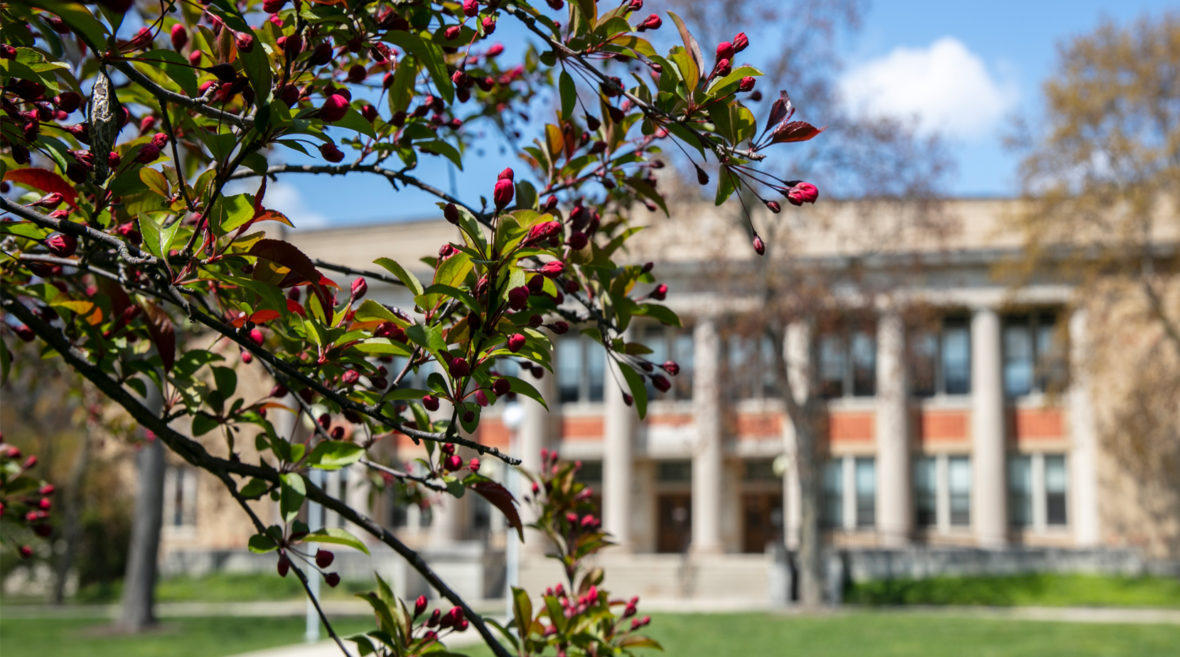 0303-26-Direct Admit Press Release-FeaturedArticle-1660x924.jpg