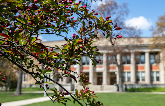 0303-26-Direct Admit Press Release-Thumbnail-540x356.jpg