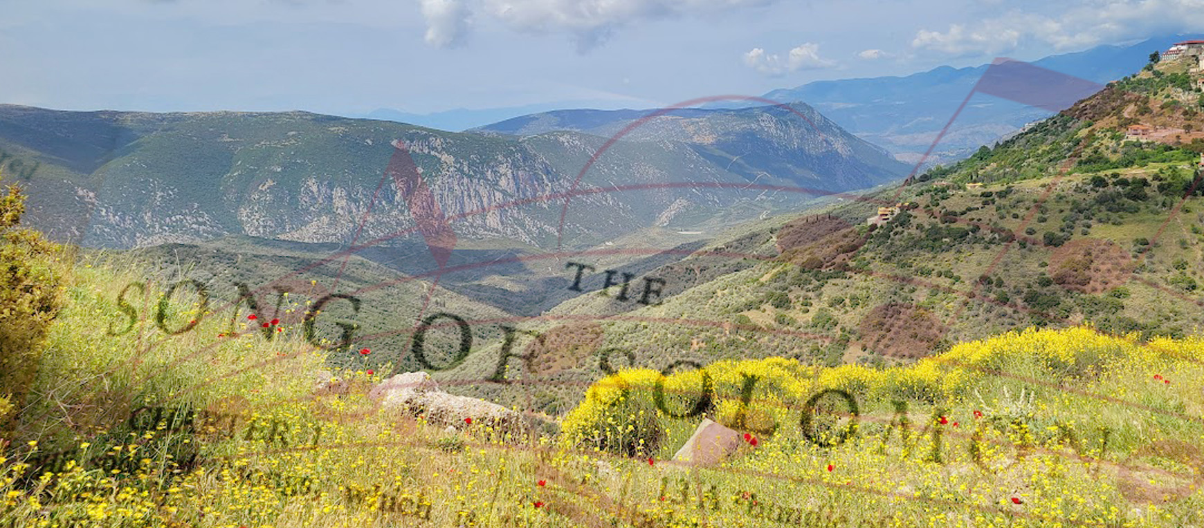 Song of Song News Large 1740x764.jpg