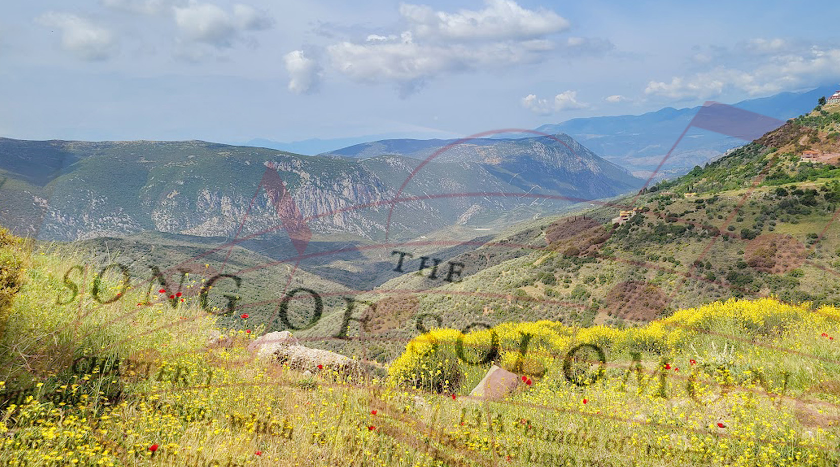 Song of Songs News Featured article 1660x924.jpg