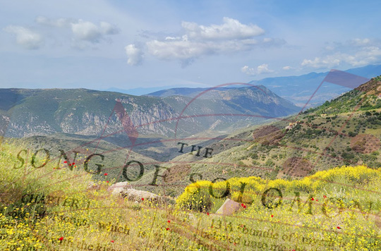 Song of Songs News Thumbnail 540x356.jpg